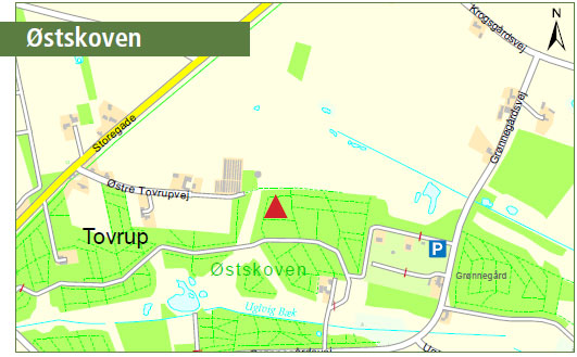 Kort over placering af pyntegrønt i Østskoven. 